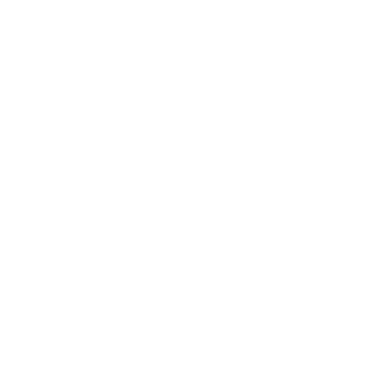 BetterLifeAdvisor logo
